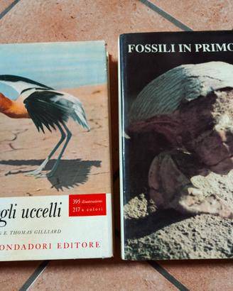 Libri 