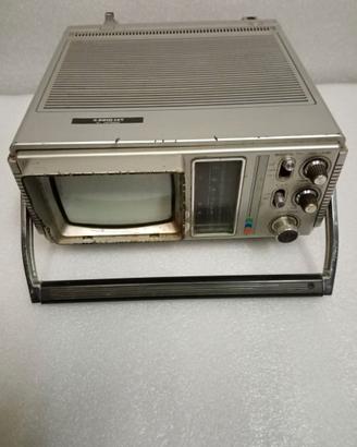 Televisore portatile