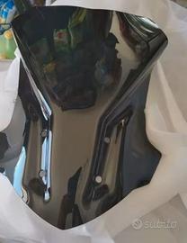 Cupolino BMW GS 310 Fumè