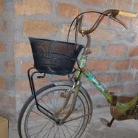 bicicletta graziella