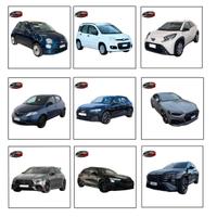 Noleggio con servizio di consegna sul posto