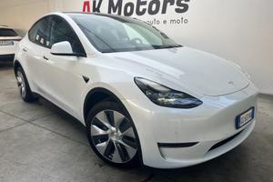 TESLA Model Y AWD Performance