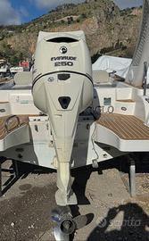 Motore Fuoribordo Evinrude 250 Cv E-TEC 2011