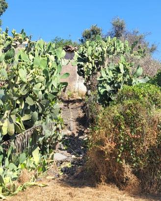 Terreno Edificabile - Paternò