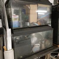 n° 2 acquari 50 litri