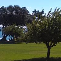 Bilocale Corsica, Costa Verde Cervione