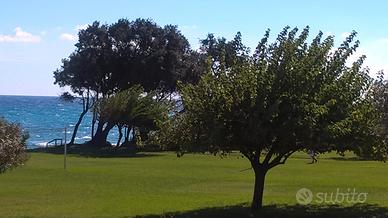 Bilocale Corsica, Costa Verde Cervione