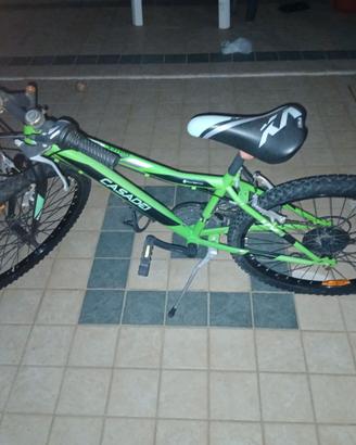Bicicletta