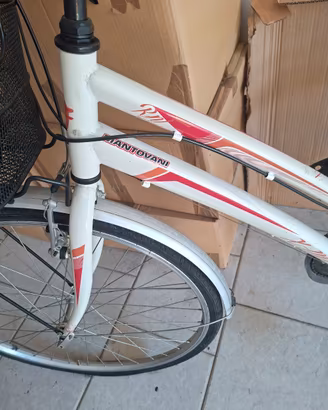 Bicicletta  da donna