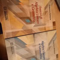Algebra lineare e geometria - Bottacin + spedizion