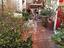Immagine 19