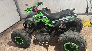 Quad ncx fx250