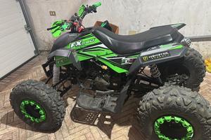 Quad ncx fx250