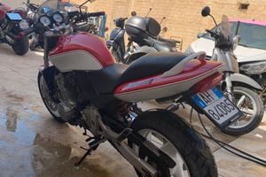 Honda hornet 600 cc (anno 1999)