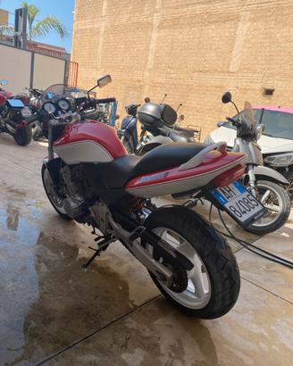 Honda hornet 600 cc (anno 1999)