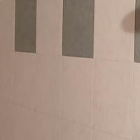 piastrelle per il bagno 