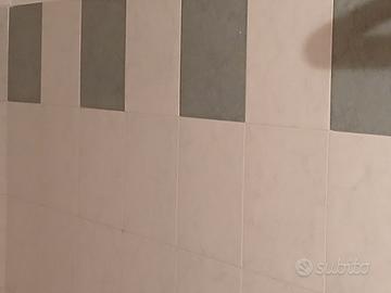 piastrelle per il bagno 