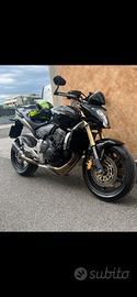 Hornet 600