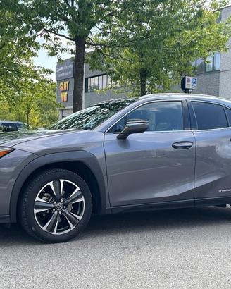 Lexus UX 250h Hybrid AWD Luxury Navi Pelle LED Cam