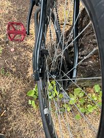 Whellie bike