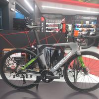 CIPOLLINI TG M MOD. ADONE NUOVO