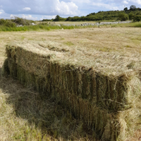 Foraggio erbaio in ballette