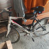 Bici ibrida Torpado 