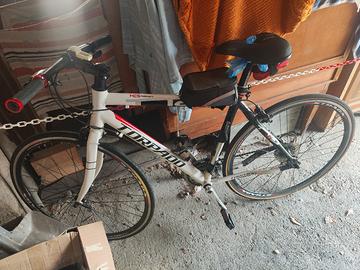 Bici ibrida Torpado 