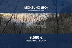 Immobile in asta di 14363 m² a Monzuno