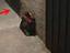 Immagine 14
