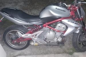 Kawasaki er-6n