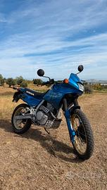 Honda Dominator
