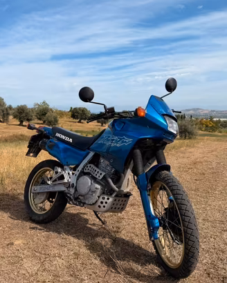 Honda Dominator