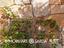 Immagine 28