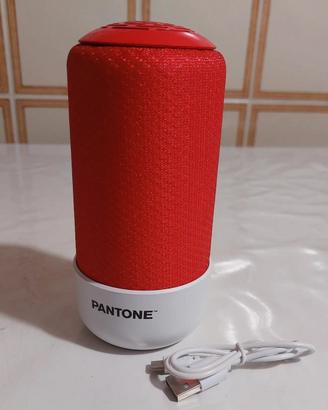 Speaker Pantone