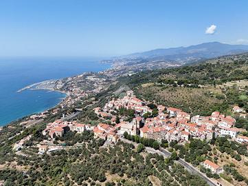 TER. AGRICOLO A CIPRESSA