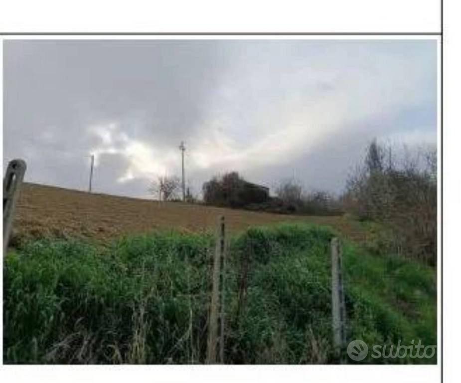 Immobile in asta di 85145 m² a Ripatransone - Vista 5
