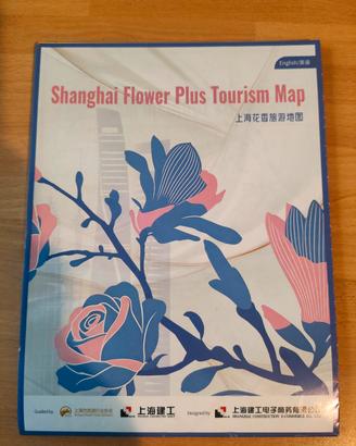 Piabta della Città di Shanghai (Cina)