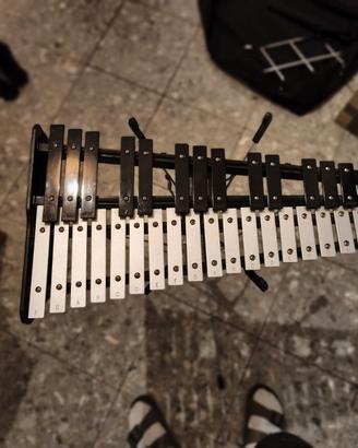 Xilofono da Orchestra 2,5 Ottave