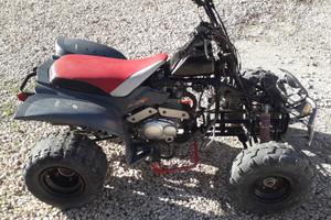quad elstar 300cc