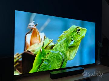 Televisore OLED LG C5 65" come nuovo