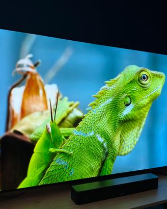 Televisore OLED LG C5 65" come nuovo