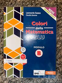 Colori della matematica blu MODULO B