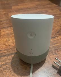 Google home con adattatore