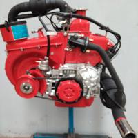 motore Fiat 500 FL 595 cc