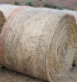 700 Rotoballe fieno