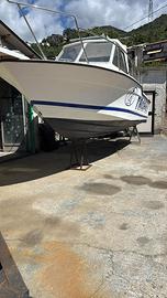 Bayliner 8.50 metri