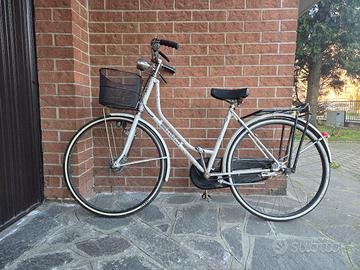 Bici donna Holland freni a tamburo