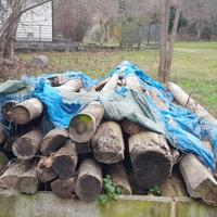 Pali di legno per costruzione o rifacimento tetti