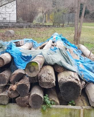 Pali di legno per costruzione o rifacimento tetti